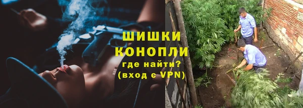 мдпв Карталы