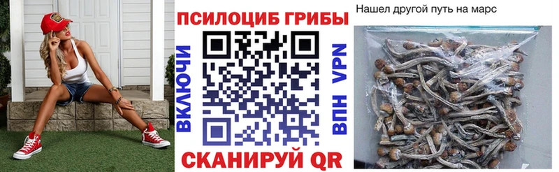 KRAKEN маркетплейс  закладки  Любань  Псилоцибиновые грибы MAGIC MUSHROOMS 